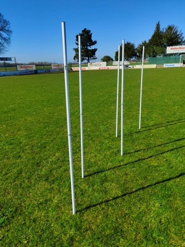 5er-Set - Slalomstange 2-teilig mit Erdspieß