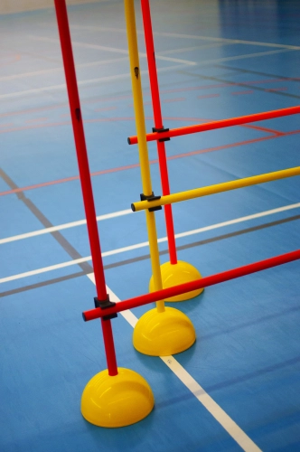 Lynxsport GmbH Slalomstangen-Set Indoor mit Standfuß inkl. Transporttasche