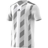 adidas STRIPED 19 JSY DP3202 S