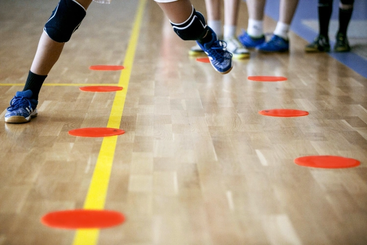 Lynxsport GmbH 24er-Set Markierungsscheiben Lynxsport GmbH 24er-Set Markierungsscheiben