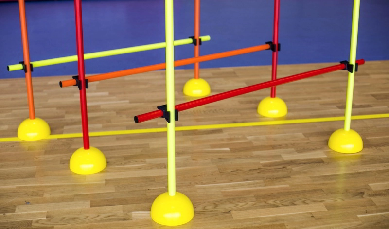 Lynxsport GmbH Slalomstangen-Set Indoor mit Standfuß inkl. Transporttasche