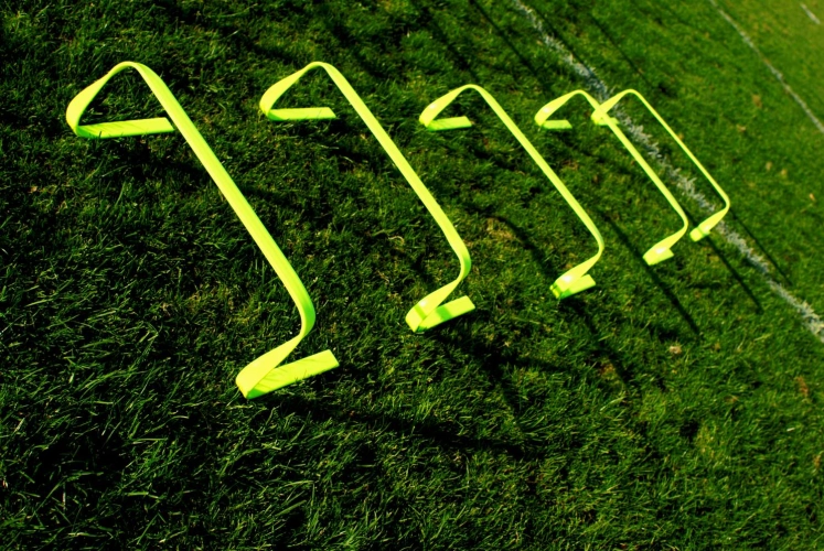 Lynxsport GmbH 5er-Set flexible Hürden - 15cm