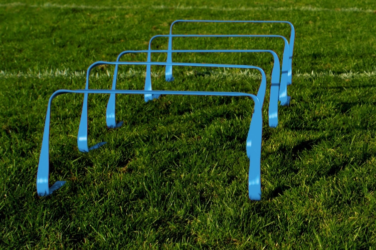 Lynxsport GmbH 5er-Set flexible Hürden - 30cm