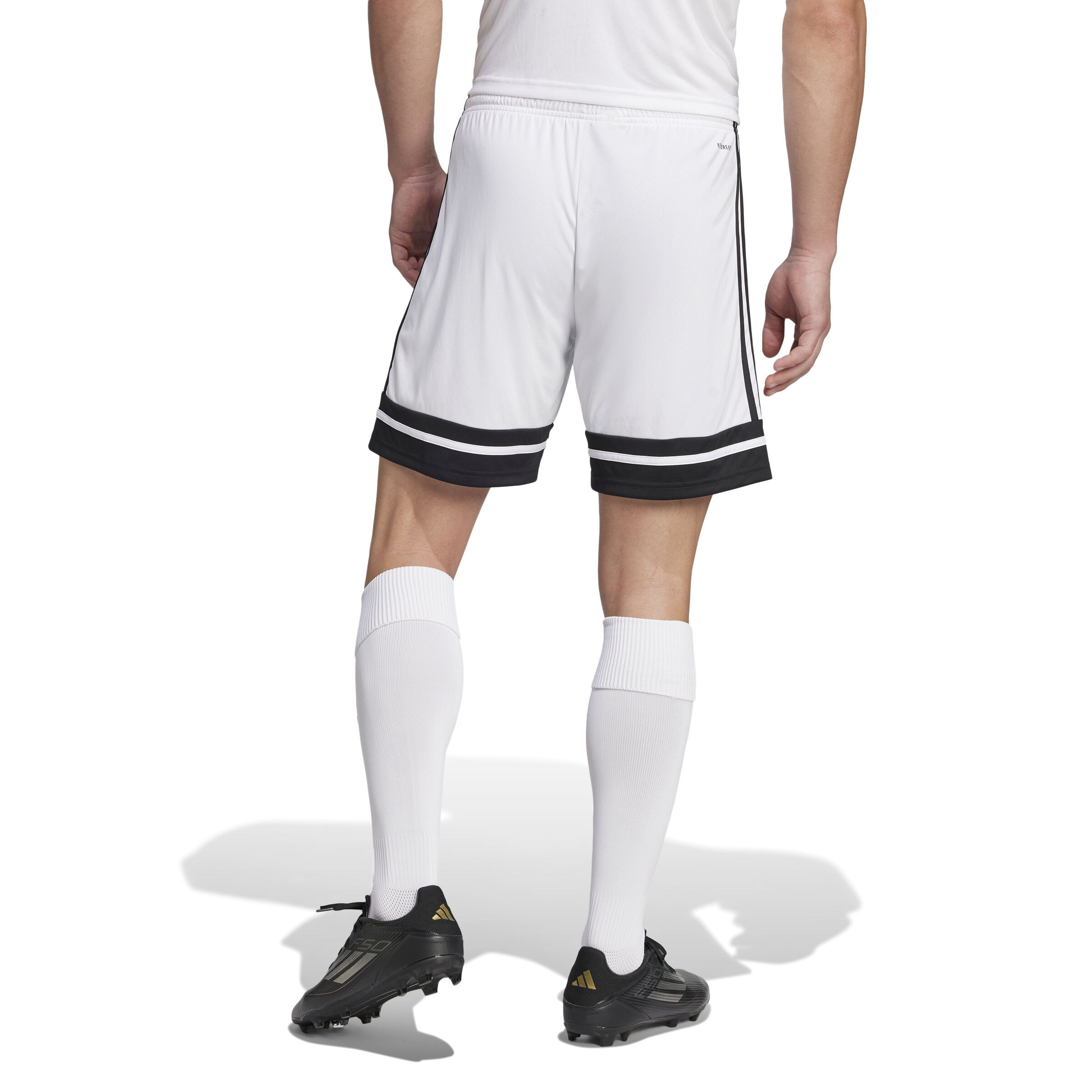 adidas Squadra 25 Short white/black XXXL