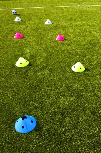 Lynxsport GmbH 20er-Set Multi - Markierlochhauben - extra groß