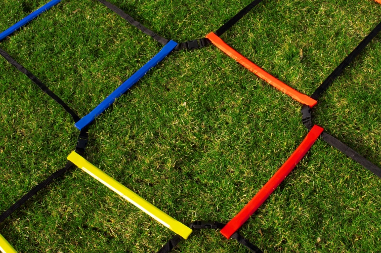 Lynxsport GmbH Kreuz-Koordinationsleiter - flach 4x2 m