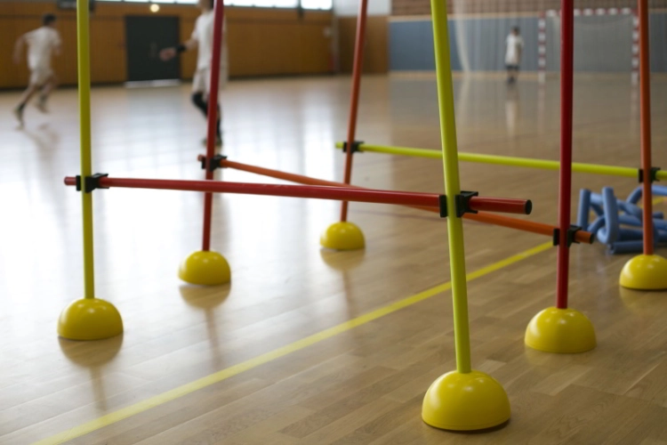 Lynxsport GmbH Slalomstangen-Set Indoor mit Standfuß inkl. Transporttasche