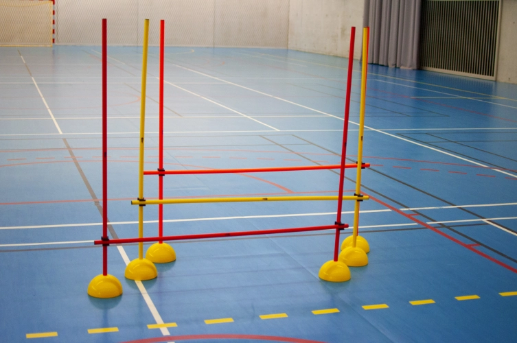 Lynxsport GmbH Slalomstangen-Set Indoor mit Standfuß inkl. Transporttasche